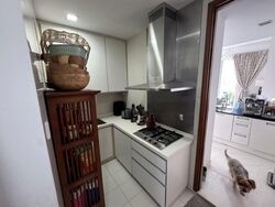 St. Thomas Suites (D9), Condominium #556792291